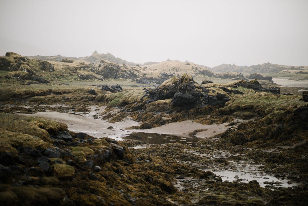 Rocky coastal landscape with water pools among the rugged terrain in Iceland.