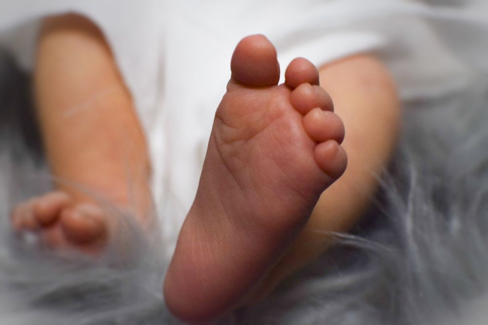 newborn