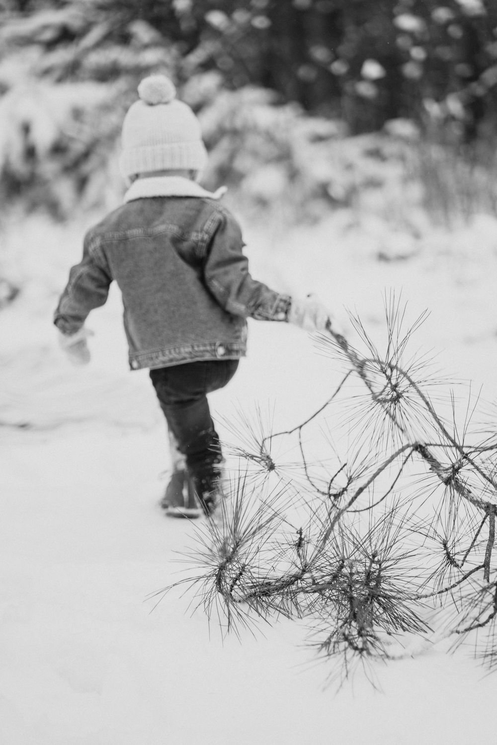 Child walking through snowy landscape with pine trees in black and white.