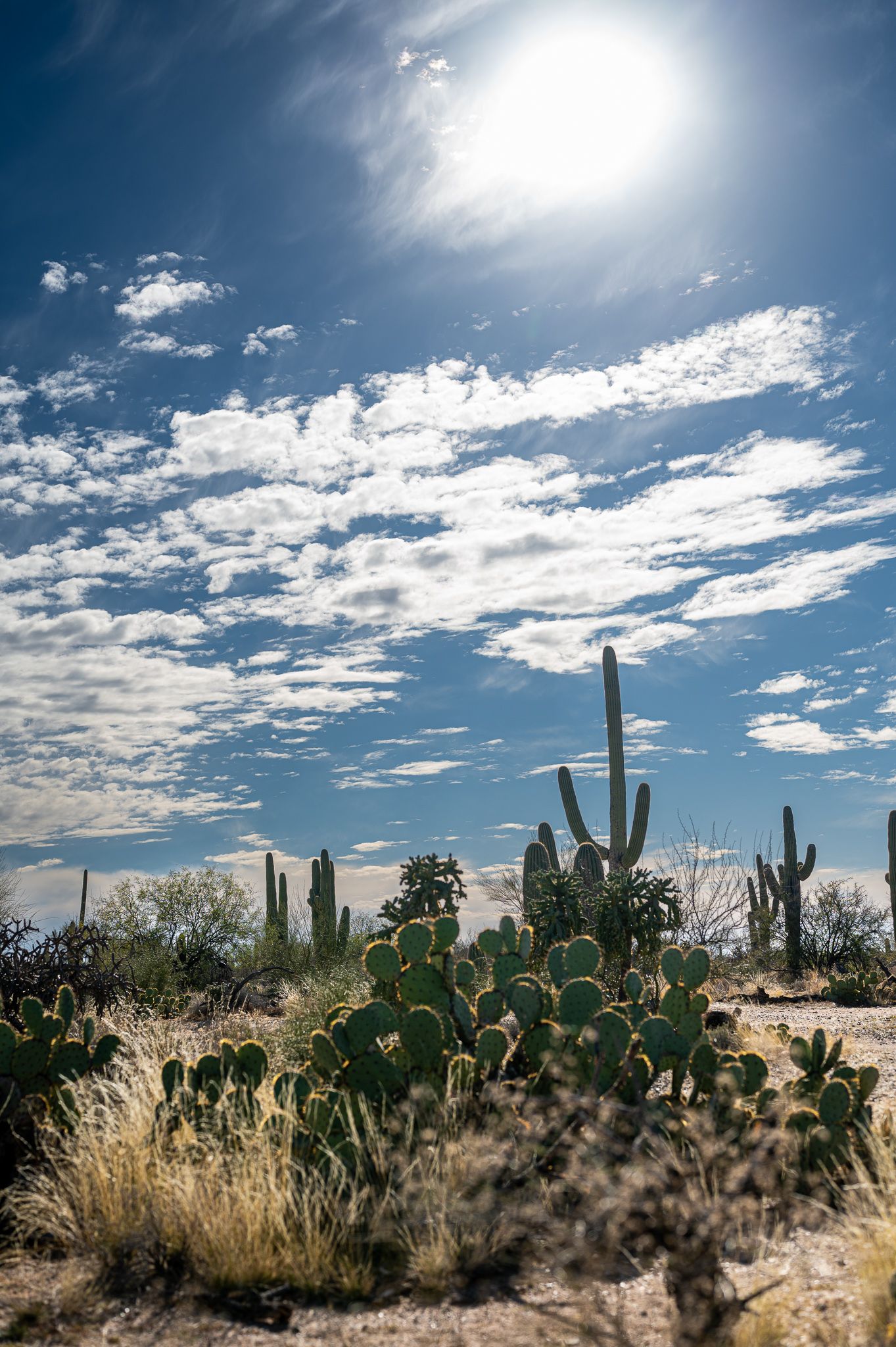 Looking for beautiful big skys, Broadway trail is a perfect location for your desert photo shoots!