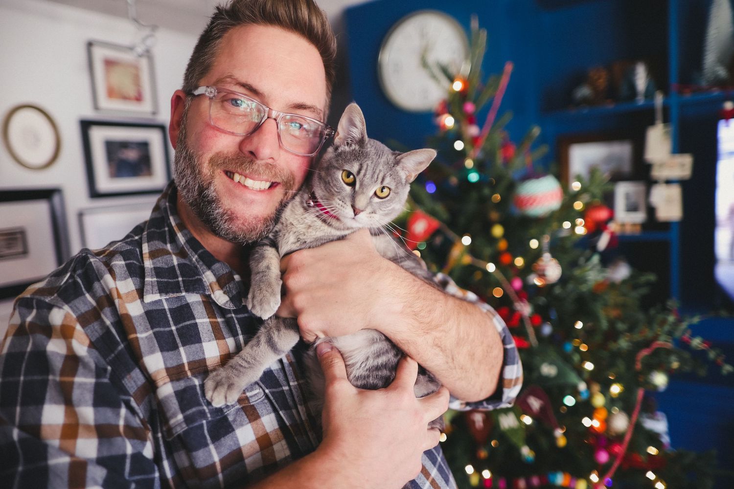 Living room scene with a cat and Christmas decorations during the holiday season.
