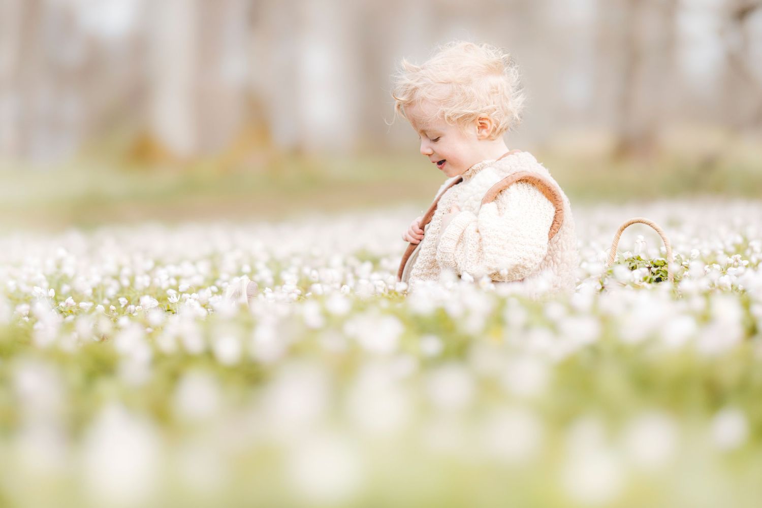 A dreamy spring scene with white flowers blooming in a sunlit meadow.