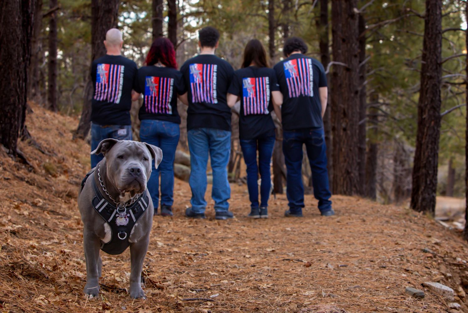 Investment Luminous Lens Photography