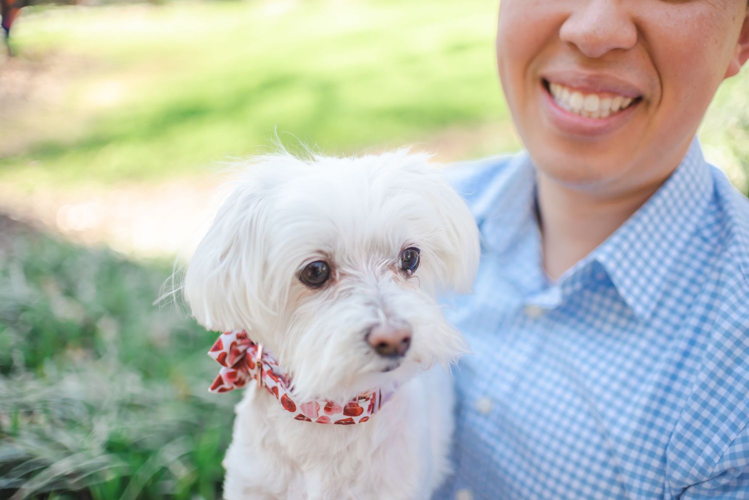 Pet photographer in Atlanta
