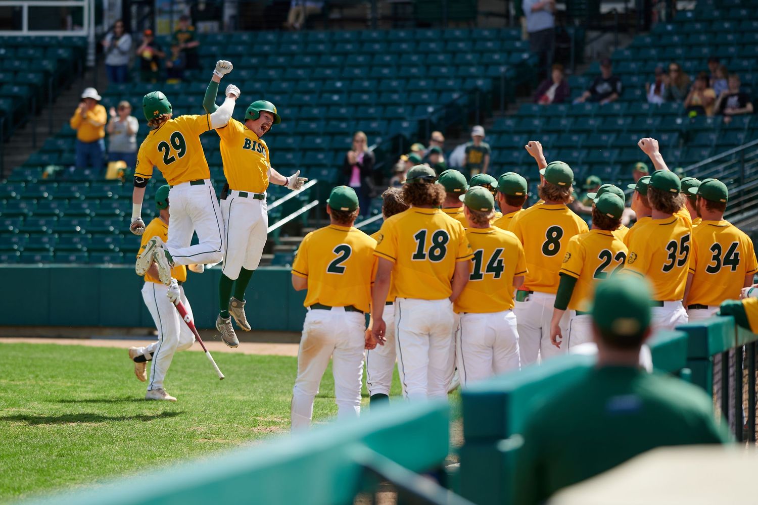 college sports baseball photographer NCAA NDSU