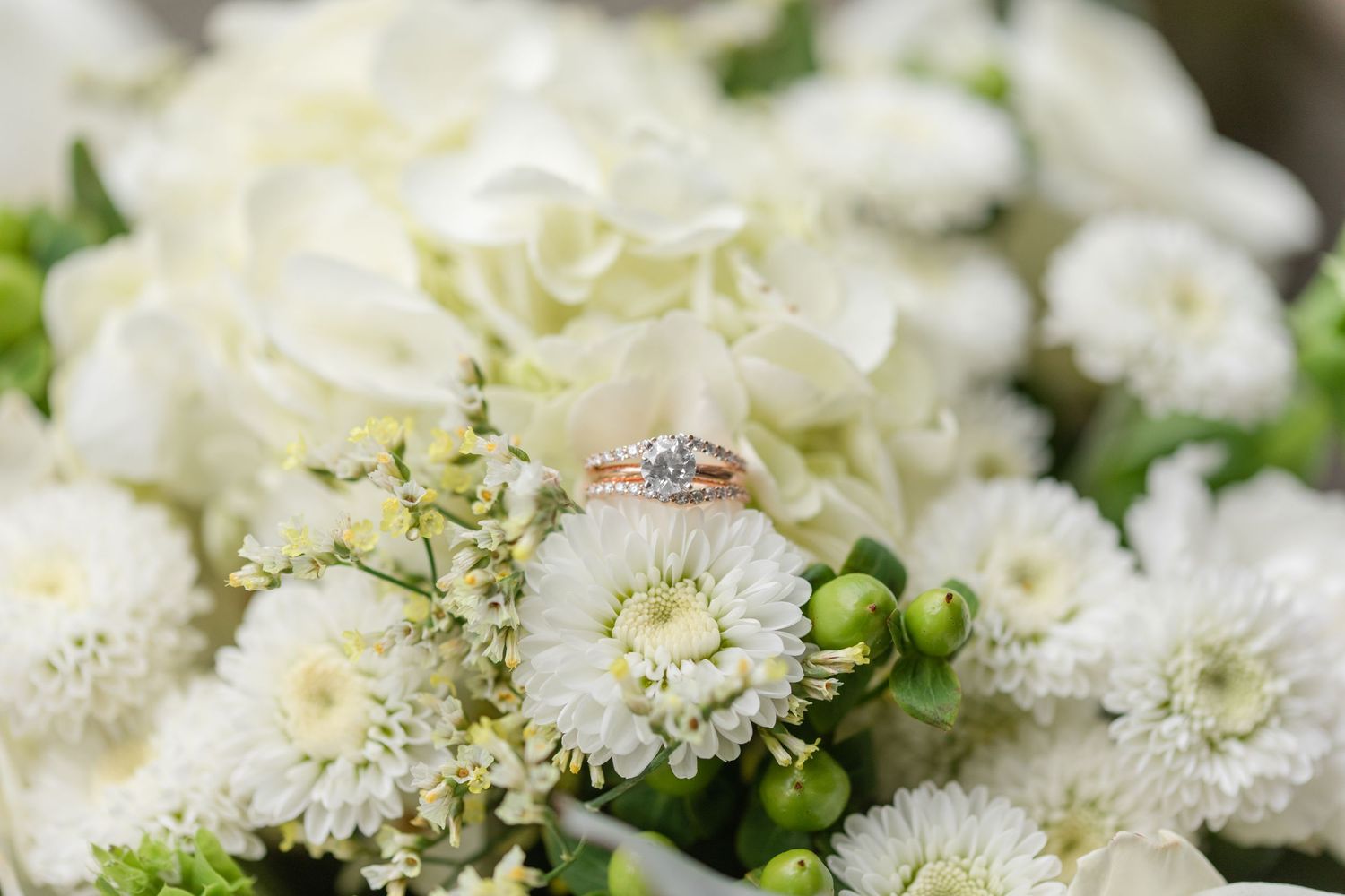 Delicate white chrysanthemums and baby's breath flowers in a close-up view.