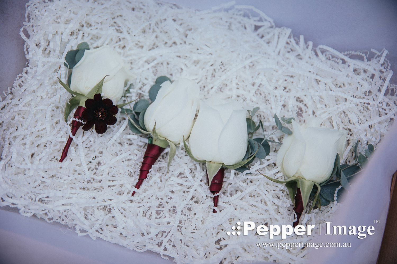 Four white rose boutonnieres with dark accents nestled in white shredded paper in a gift box.