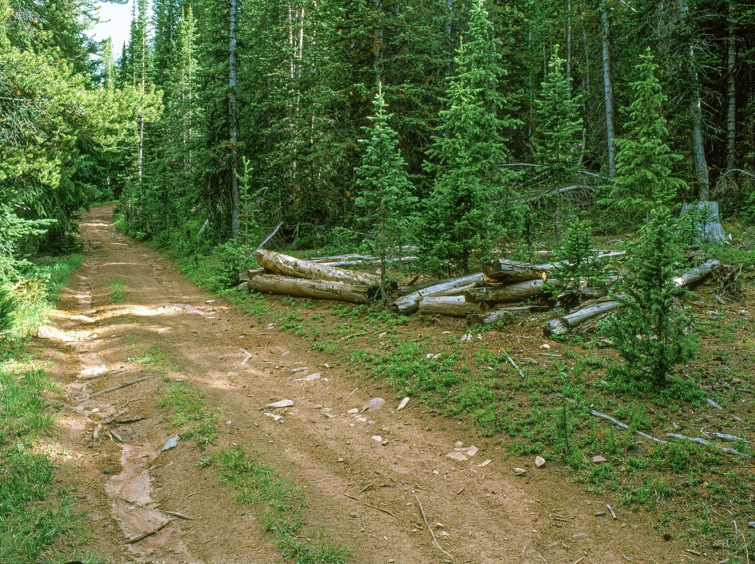 Conger's Camp, Colorado