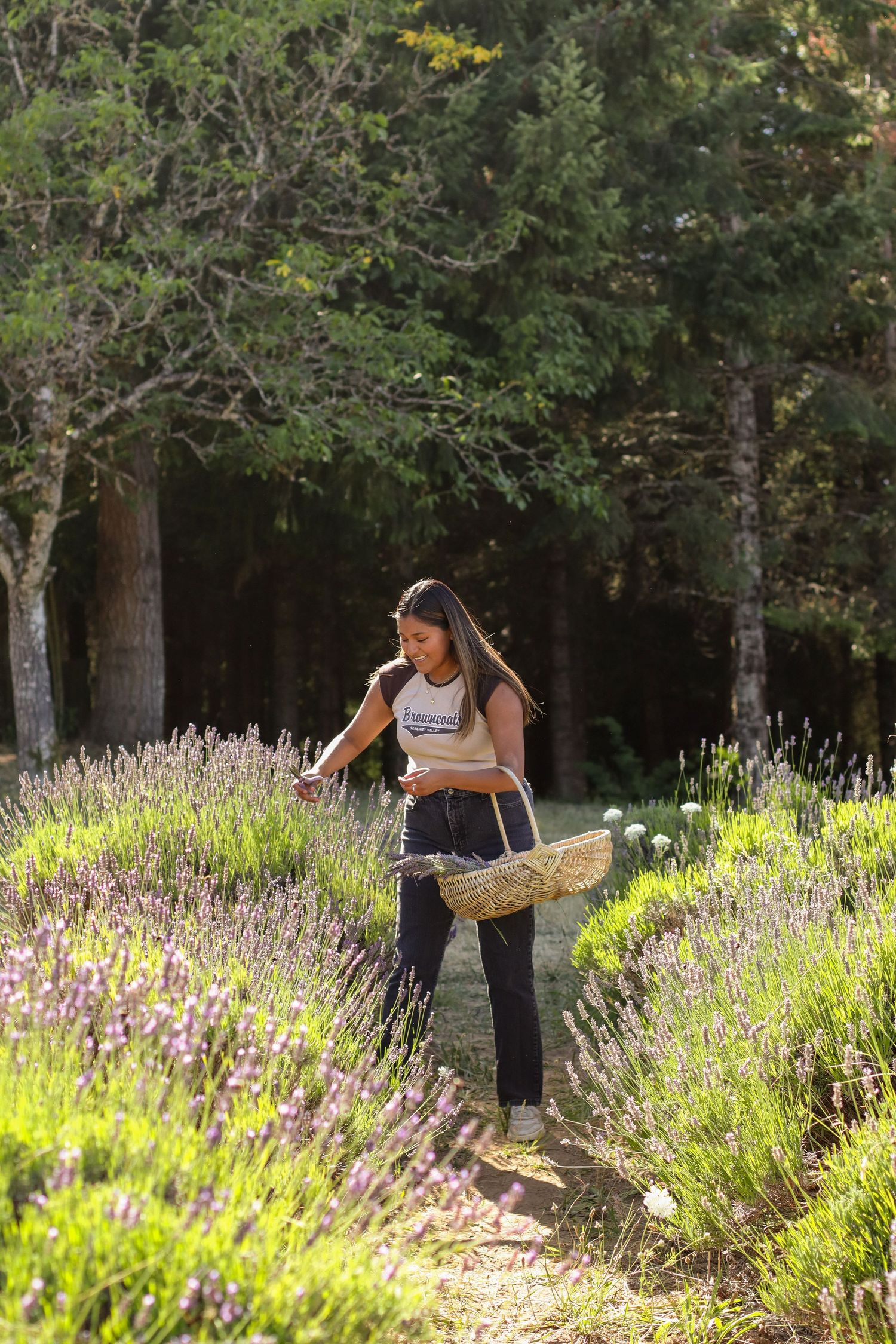 Person walking through lavender field with basket on sunny afternoon.