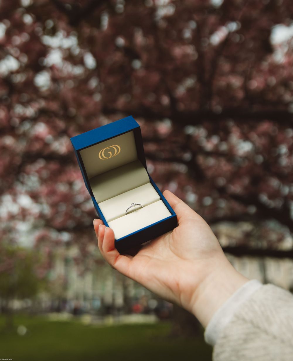 Hand holding a small blue jewelry box against blooming cherry blossoms.