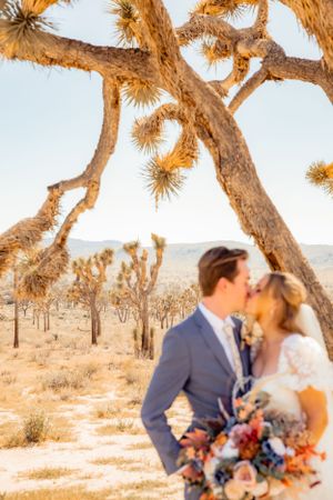 bride and groom kissing in front of joshua trees in socal desert