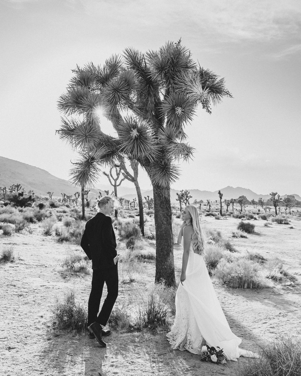 black and white bride and groom standing in front of a joshua tree in joshua tree national park