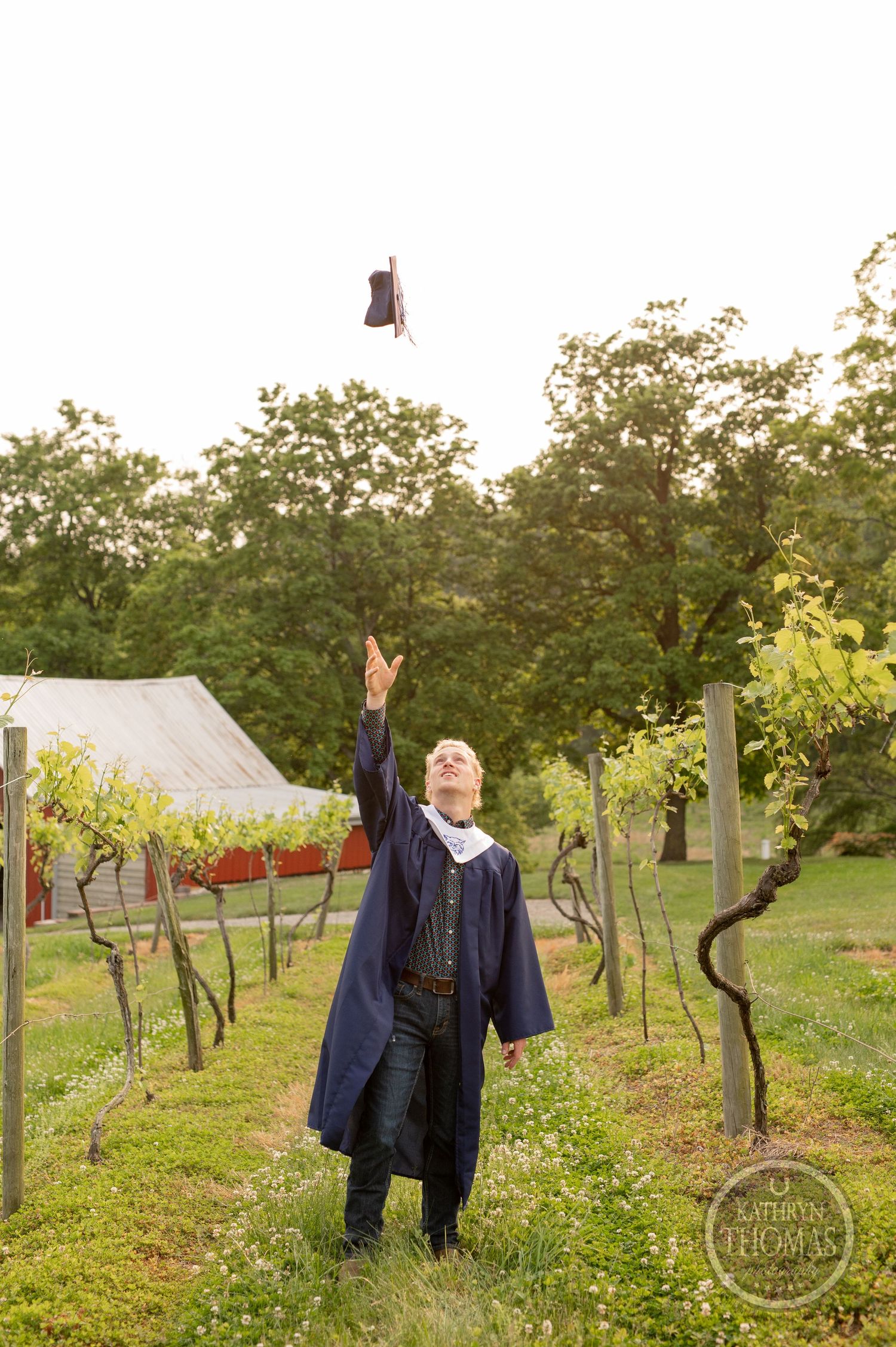 Graduate in navy robe throws diploma in air among grapevines at sunset.