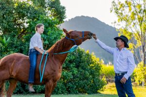 A chestnut horse stretches its neck to interact while being ridden outdoors.