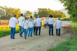 A group walks along a country road at sunset wearing matching white shirts and blue jeans.