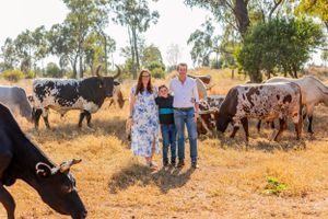 A small group poses for a photo in a field with grazing cattle and eucalyptus trees.