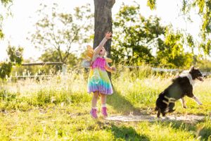 A playful Border Collie runs through a grassy field on a sunny afternoon.