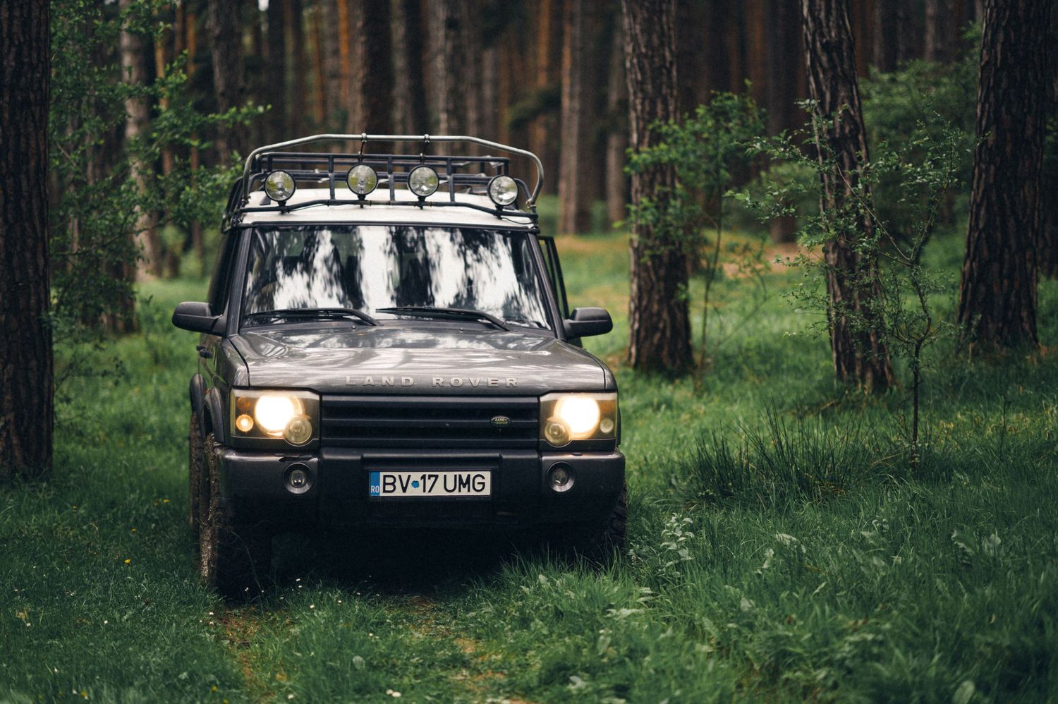 Vintage Land Rover with roof rack parked in a serene forest setting.