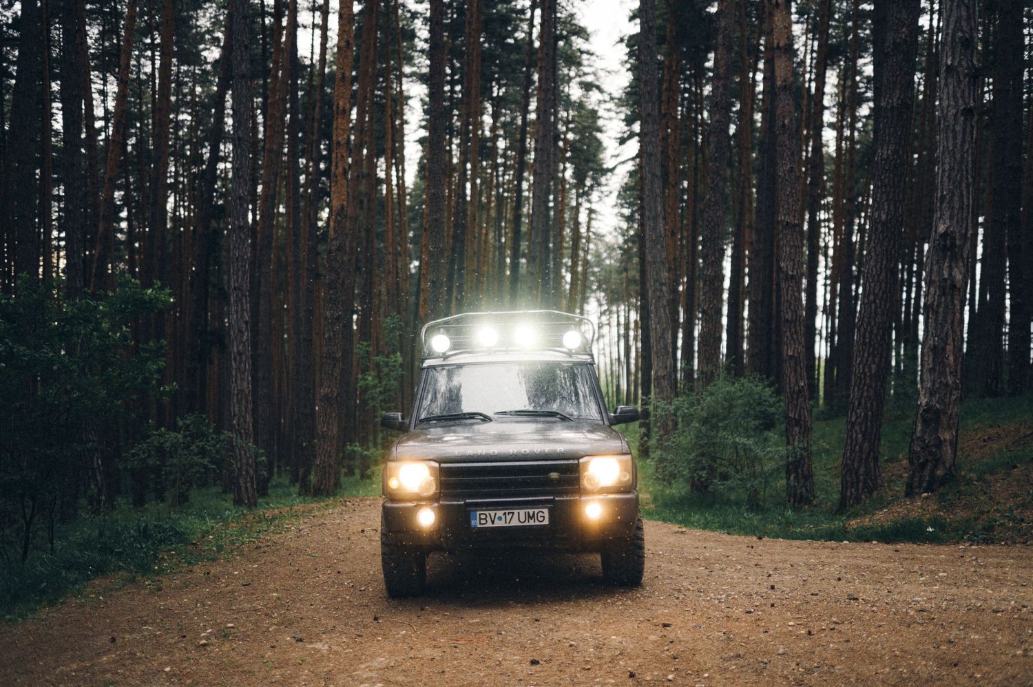 SUV with headlights on driving through dark pine forest on dirt road.