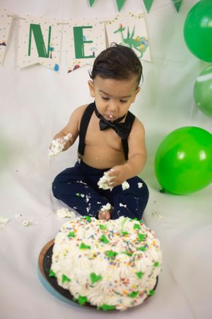 dino theme cake smash