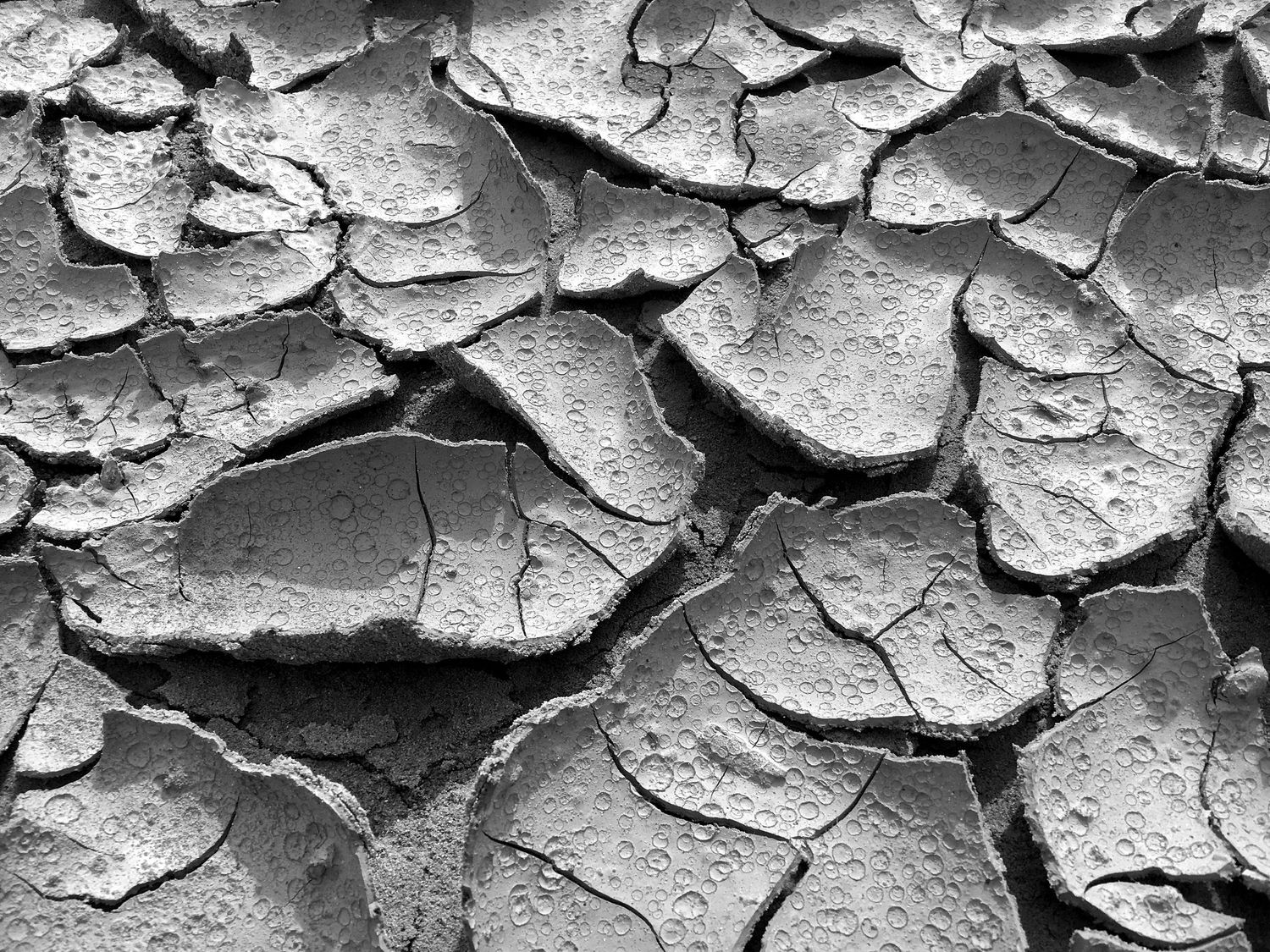 Dried Mud with Rain Droplets