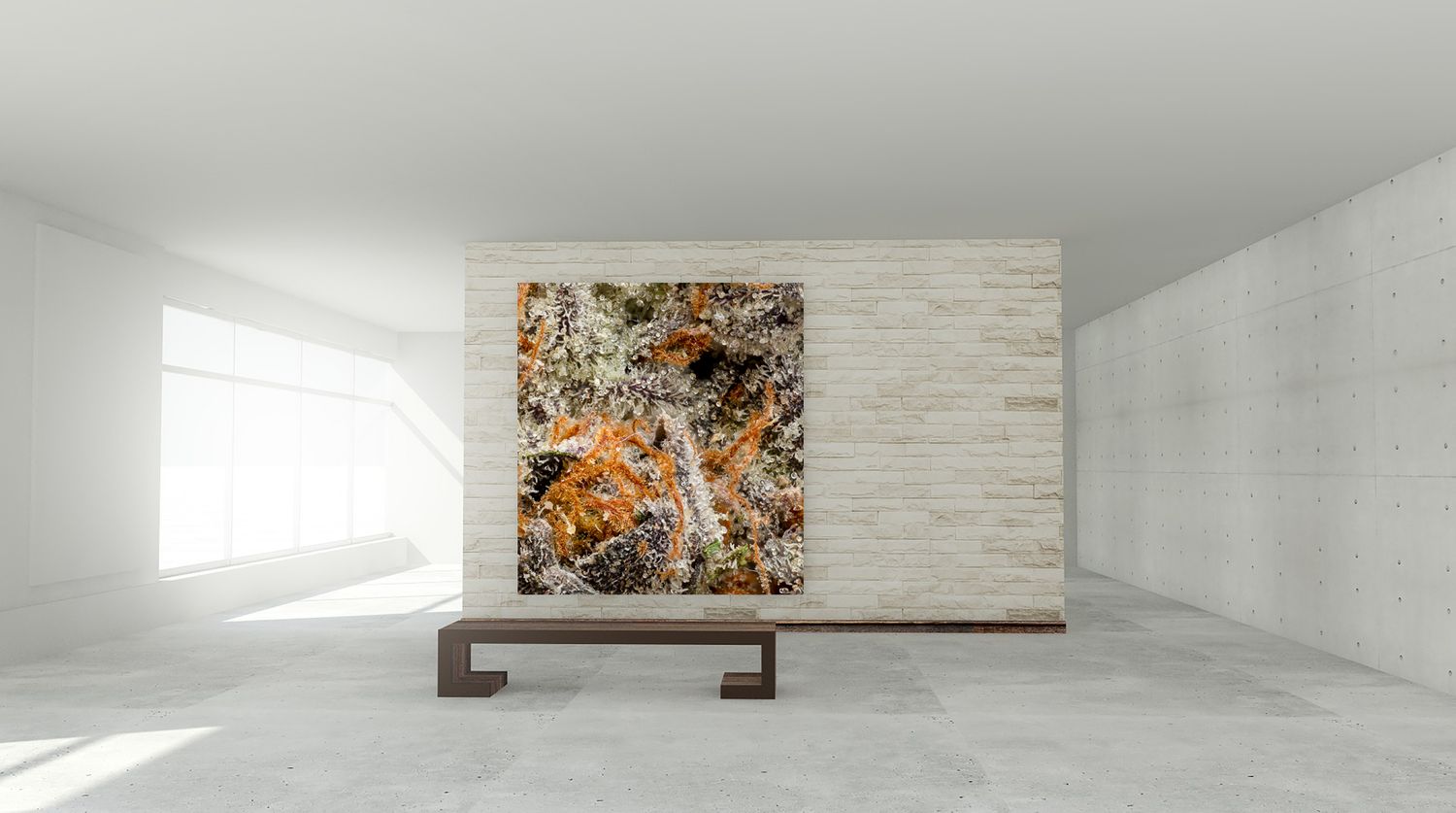 CannaPrints.ca - Large Format Commercial Artwork. Cannabis Art Ideal for Gallery Exhibits and Modern Spaces
