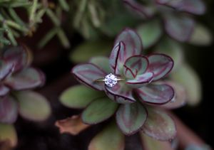 Blue Ridge Parkway engagement photos, Asheville photographer, Asheville engagement photos, Blue Ridge Mountain photoshoot, engagement photos