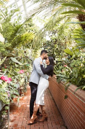 Engagement photos asheville, Asheville photographer, Biltmore Estate engagement photos, romantic engagement photos, proposal pics Biltmore