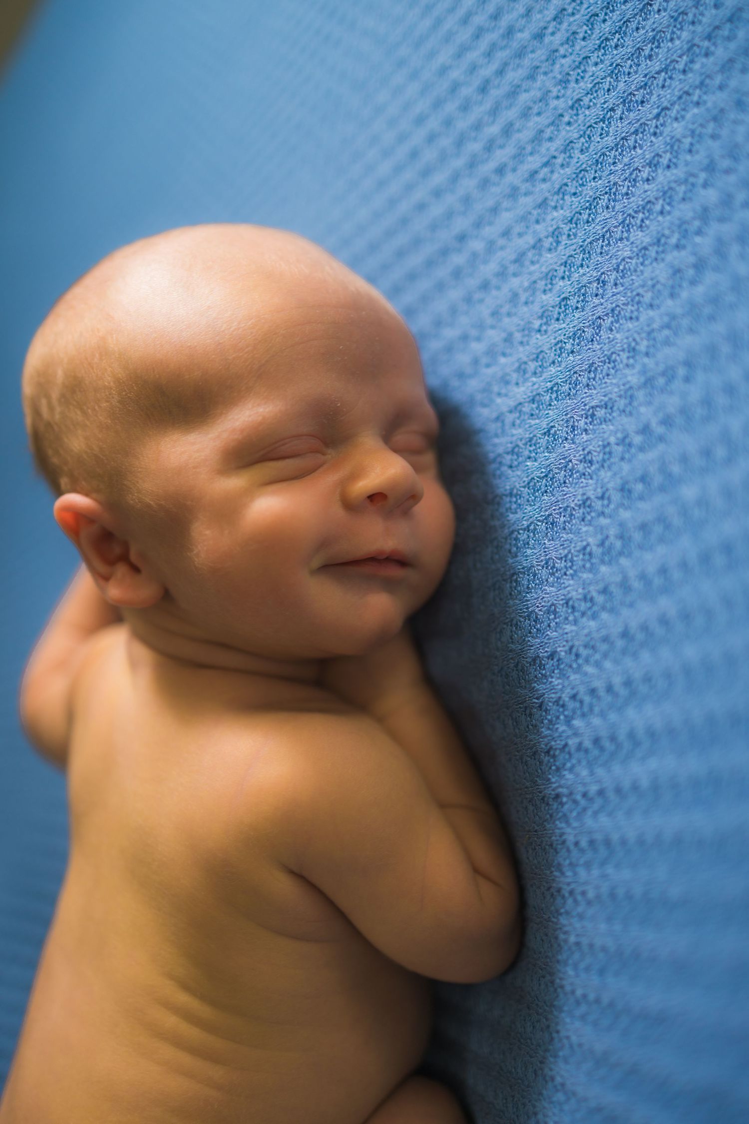 Artistic newborn portrait against textured blue background.