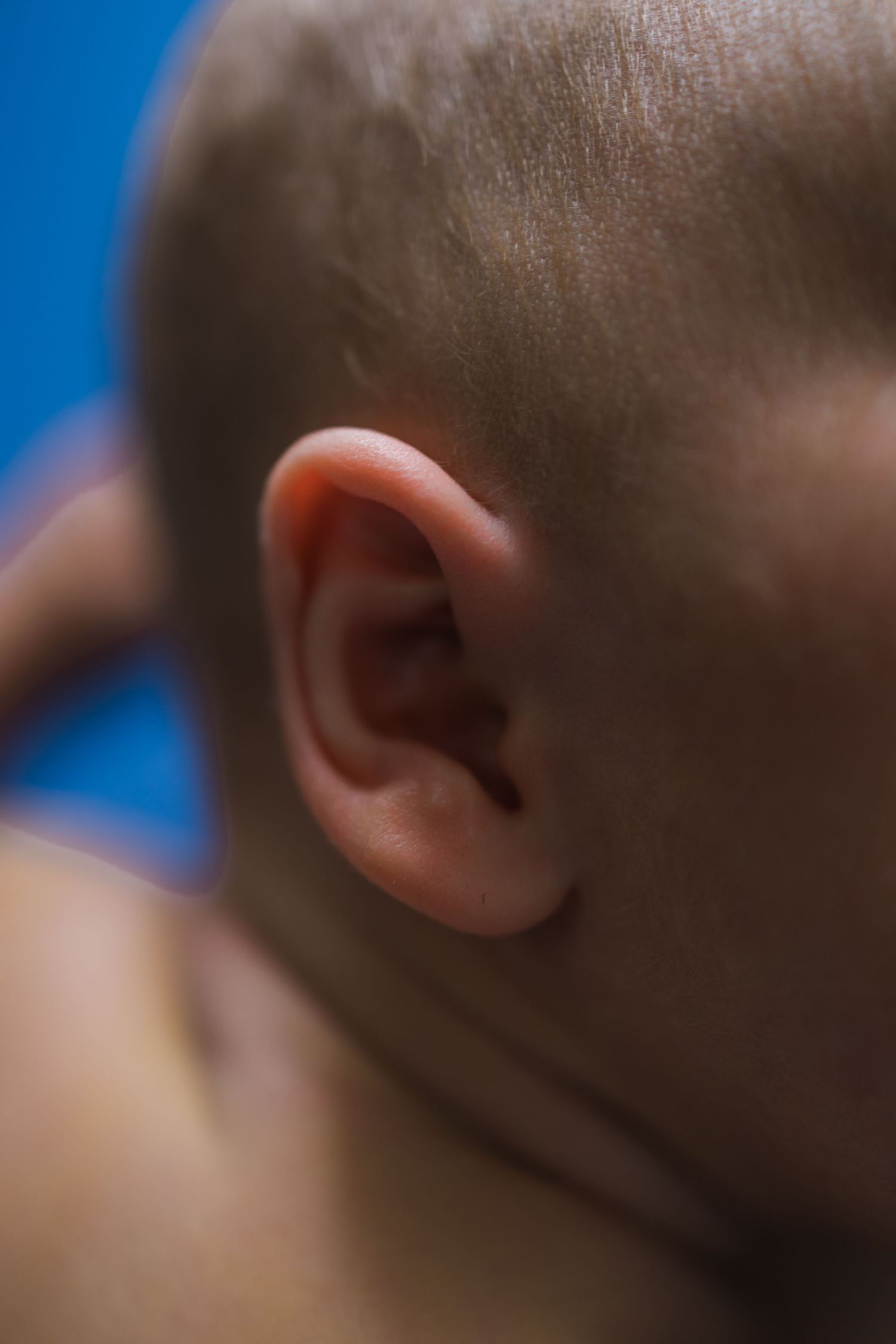 Close-up macro shot of newborn's ear against blue background.