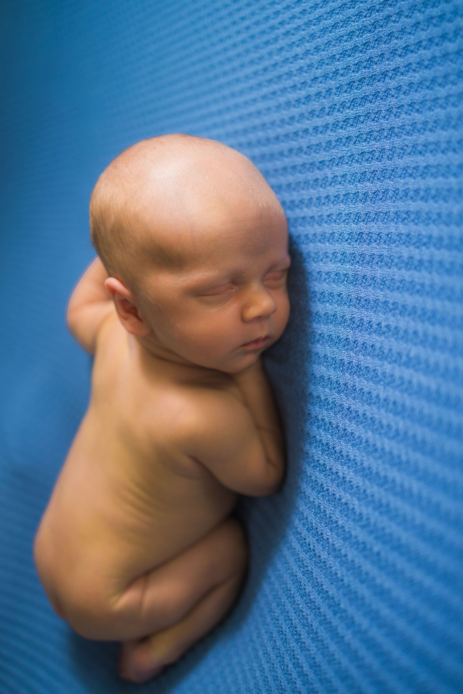 Peaceful sleeping newborn posed against bright blue textured fabric.