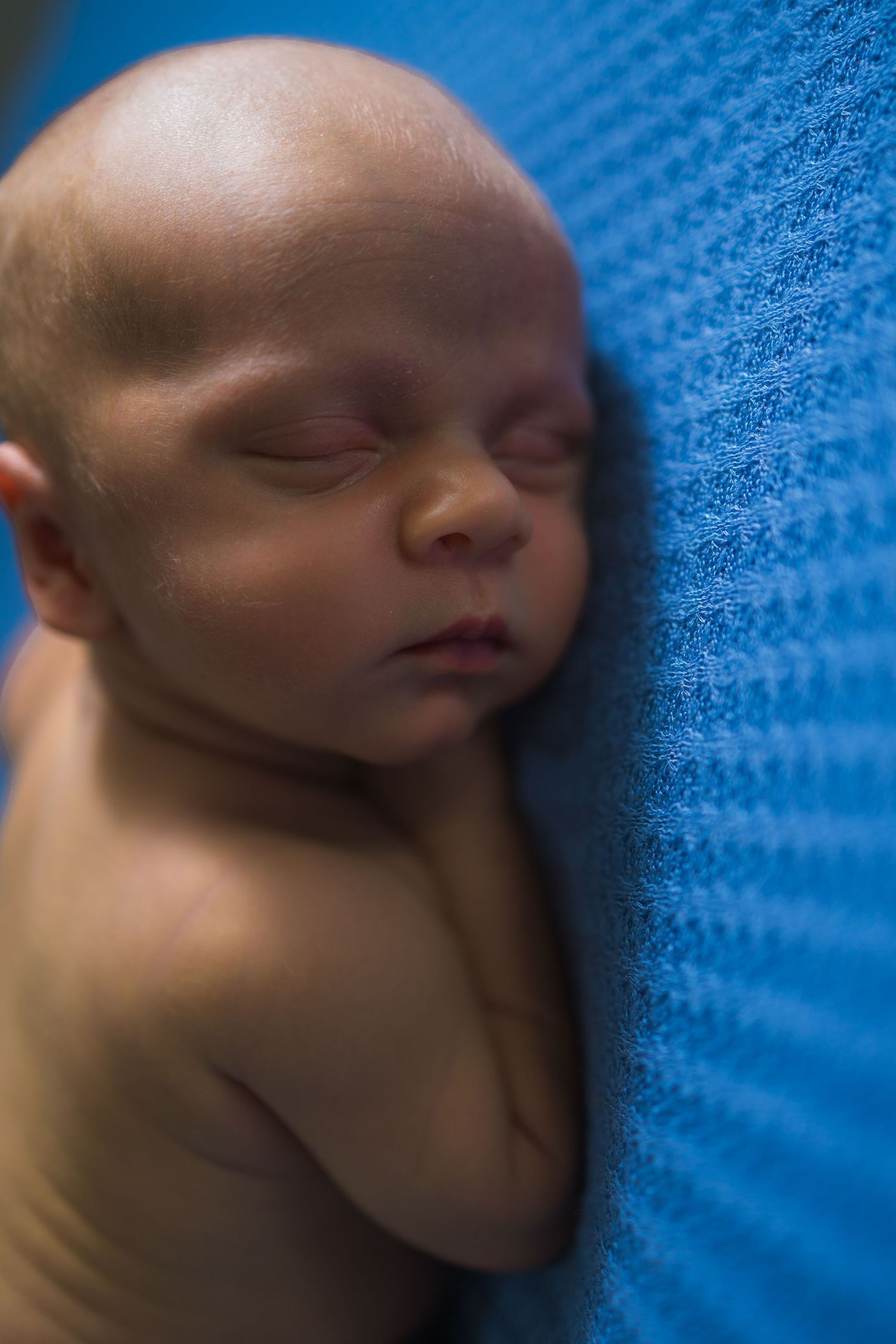 Gentle profile portrait of sleeping baby against vibrant blue texture.
