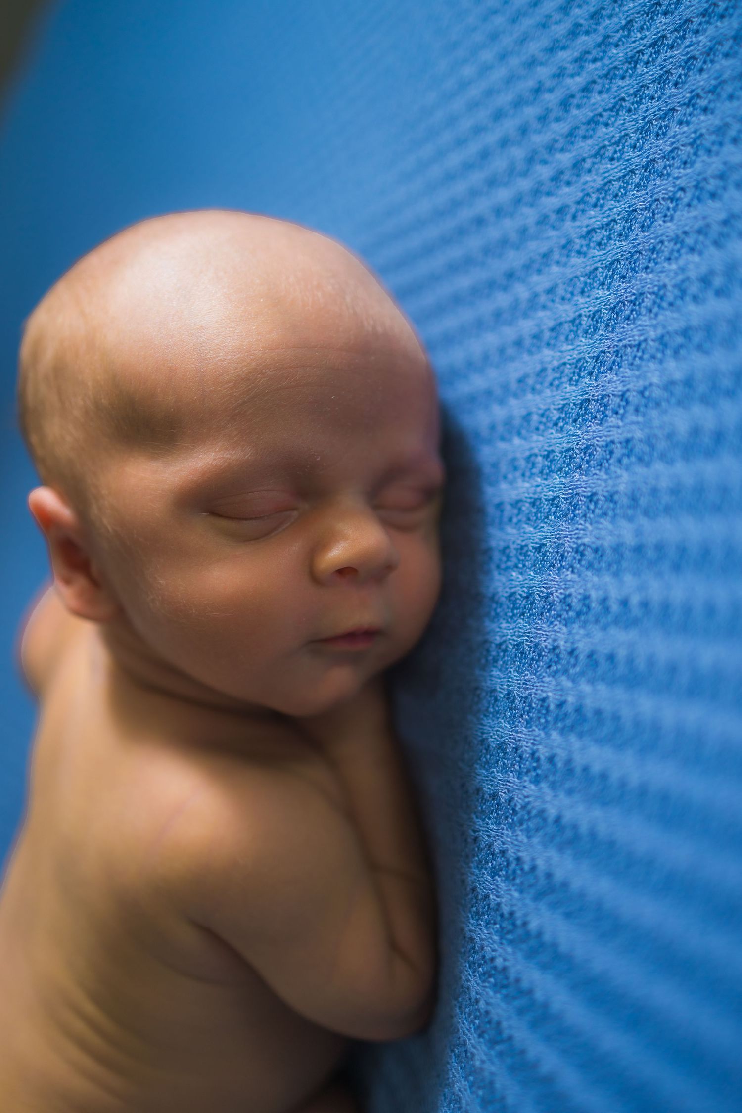 Close-up of sleeping newborn against blue patterned backdrop.