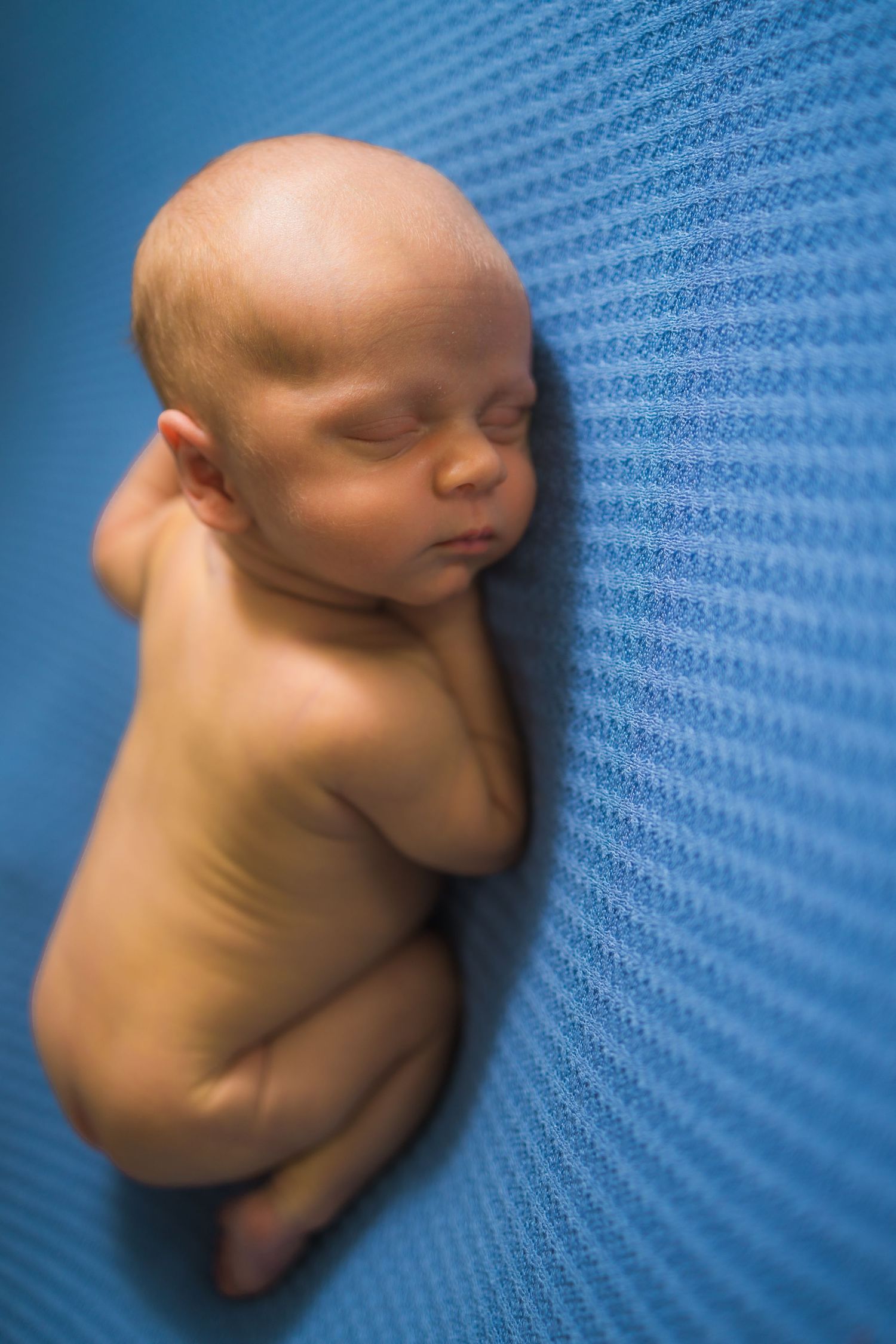 Artistic portrait of sleeping baby against textured blue background.