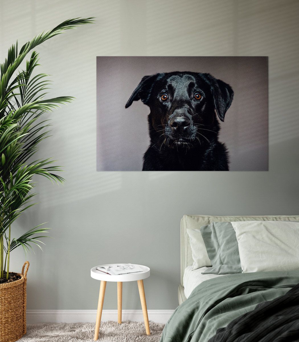 Galerieprint, Acryl mit Alu verstärkt, 120x80cm
