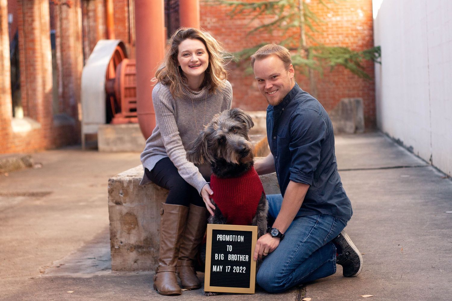 mom, dad and dog announcing pregancy by victoria leigh photography