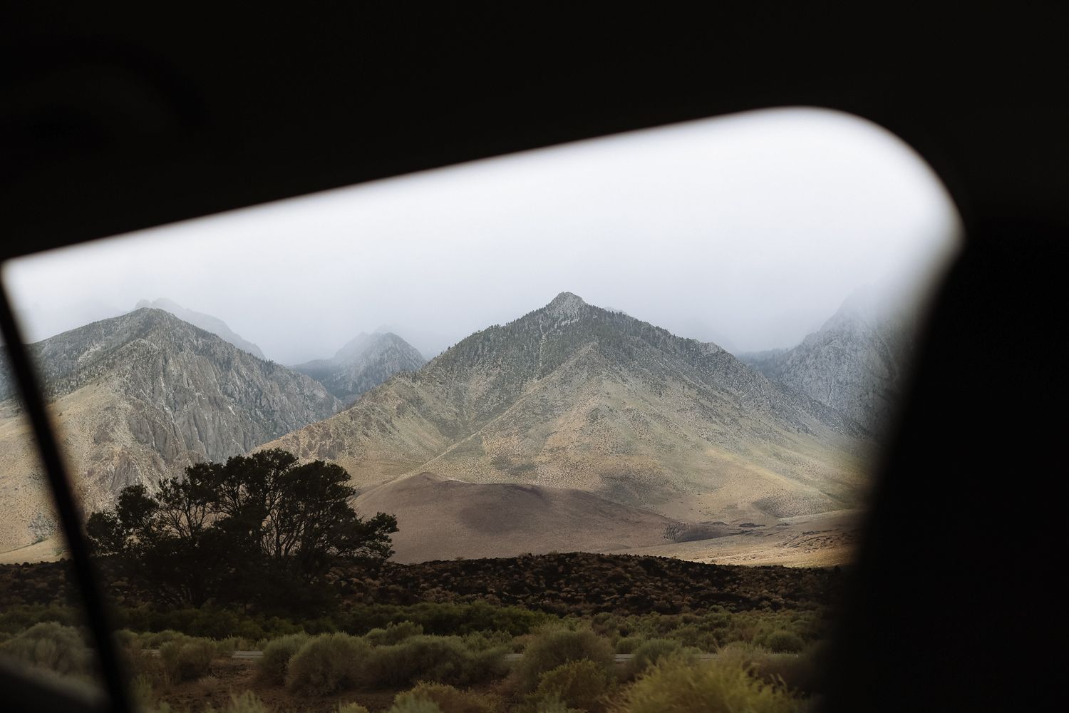 picture of desert mountains with sage brush below and foggy clouds around peaks with tree taken through window of car
