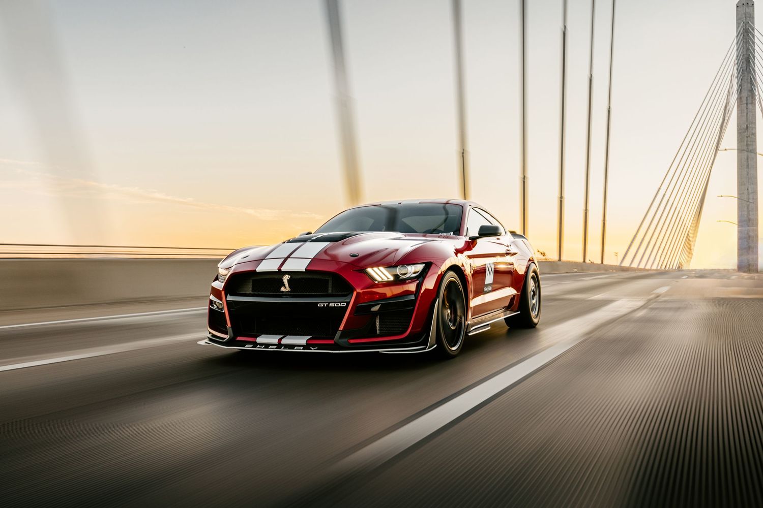 Ford Shelby GT500 automotive photography.