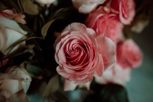 Cora Johnson Photography, Engagement Photographer, Rockport Photographer, South Texas Photographer, Wedding Photographer