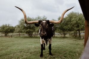 Cora Johnson Photography, Engagement Photographer, Rockport Photographer, South Texas Photographer, Wedding Photographer