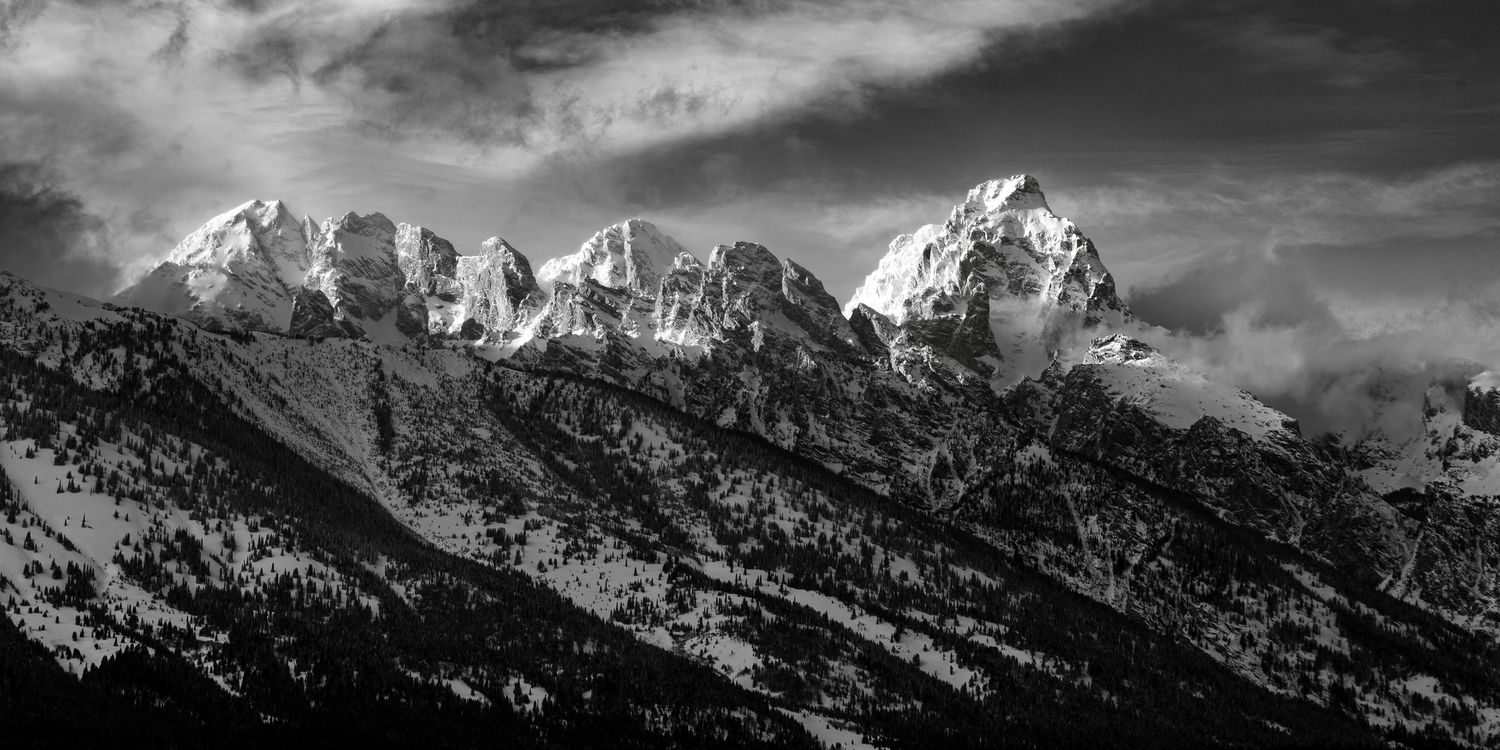 Prints Available