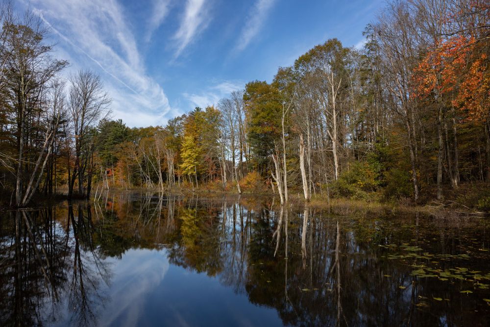 Calm lake reflecting fall foliage and bare trees under wispy clouds.