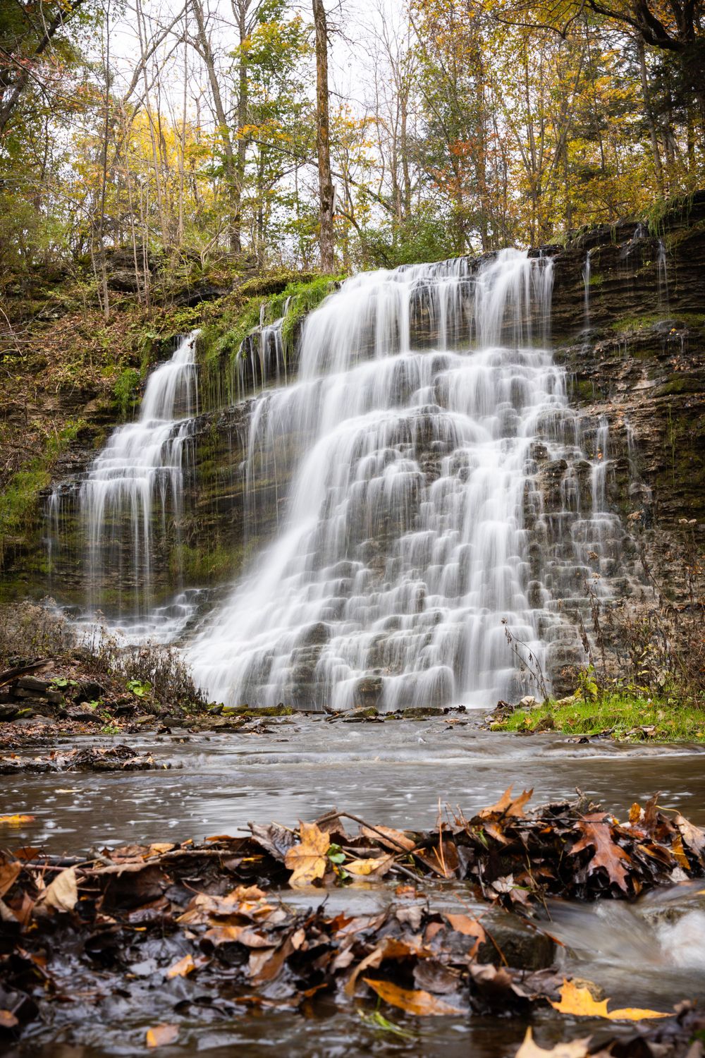 Cascading waterfall flowing over rocky ledges with autumn leaves in the foreground.