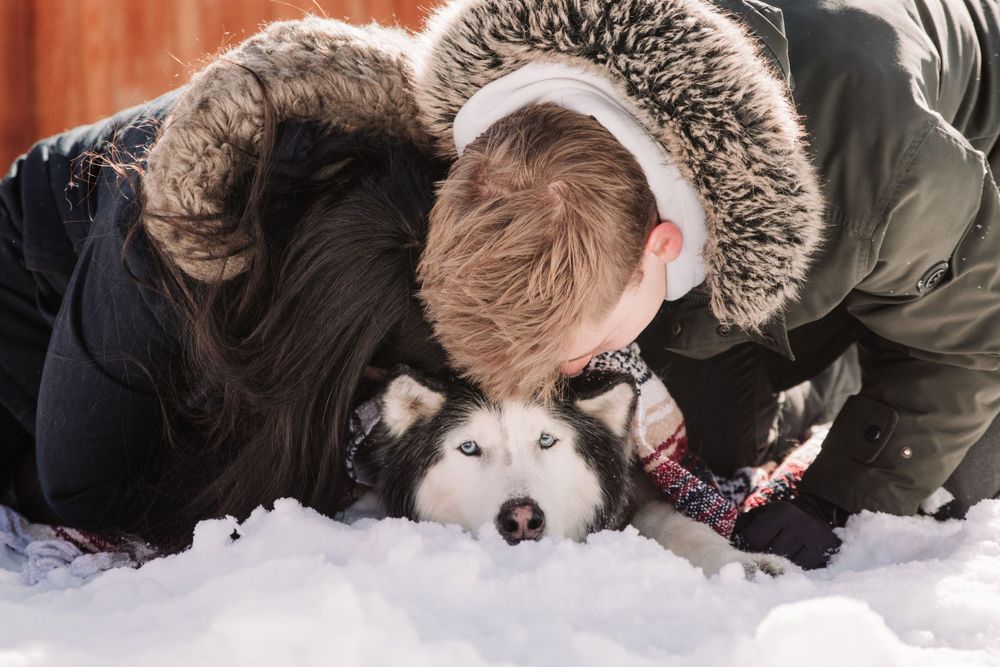 A heartwarming moment of affection with a Husky dog in the snow.