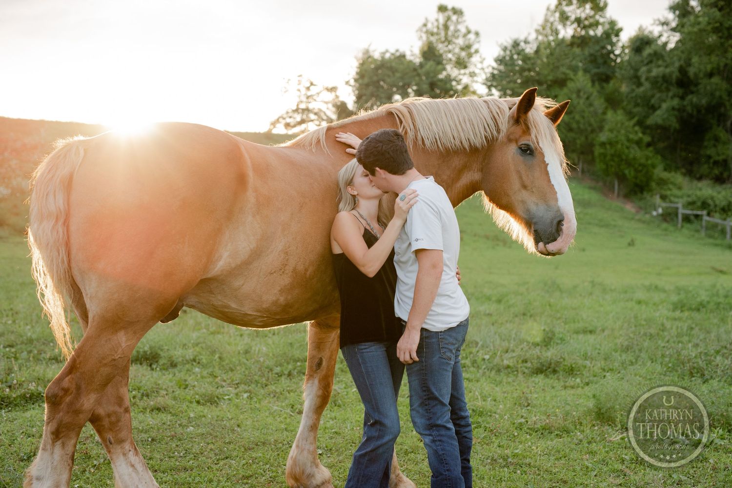 A couple shares a sweet moment with a large brown and white horse in golden sunlight.