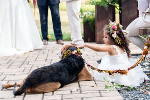 Shenandoah VA Wedding Photographer