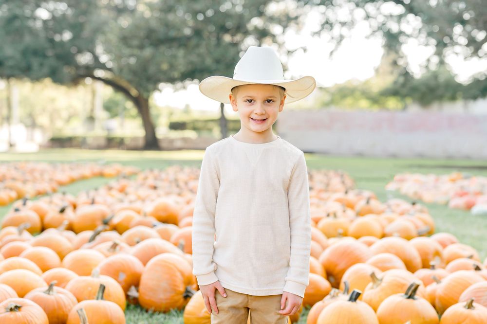 A sea of orange pumpkins in a pumpkin patch field during autumn.