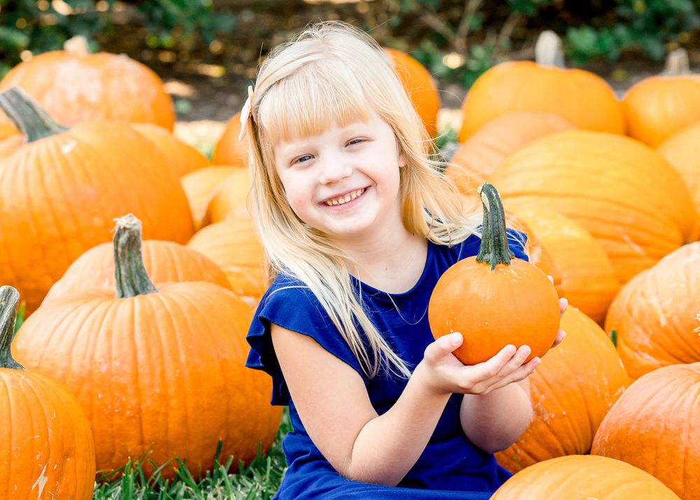 Delightful autumn scene with pumpkins scattered across green grass.