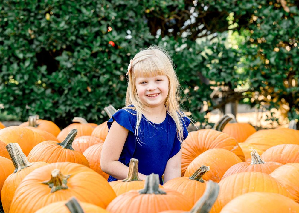 Bright orange pumpkins line a grassy area against green foliage backdrop.