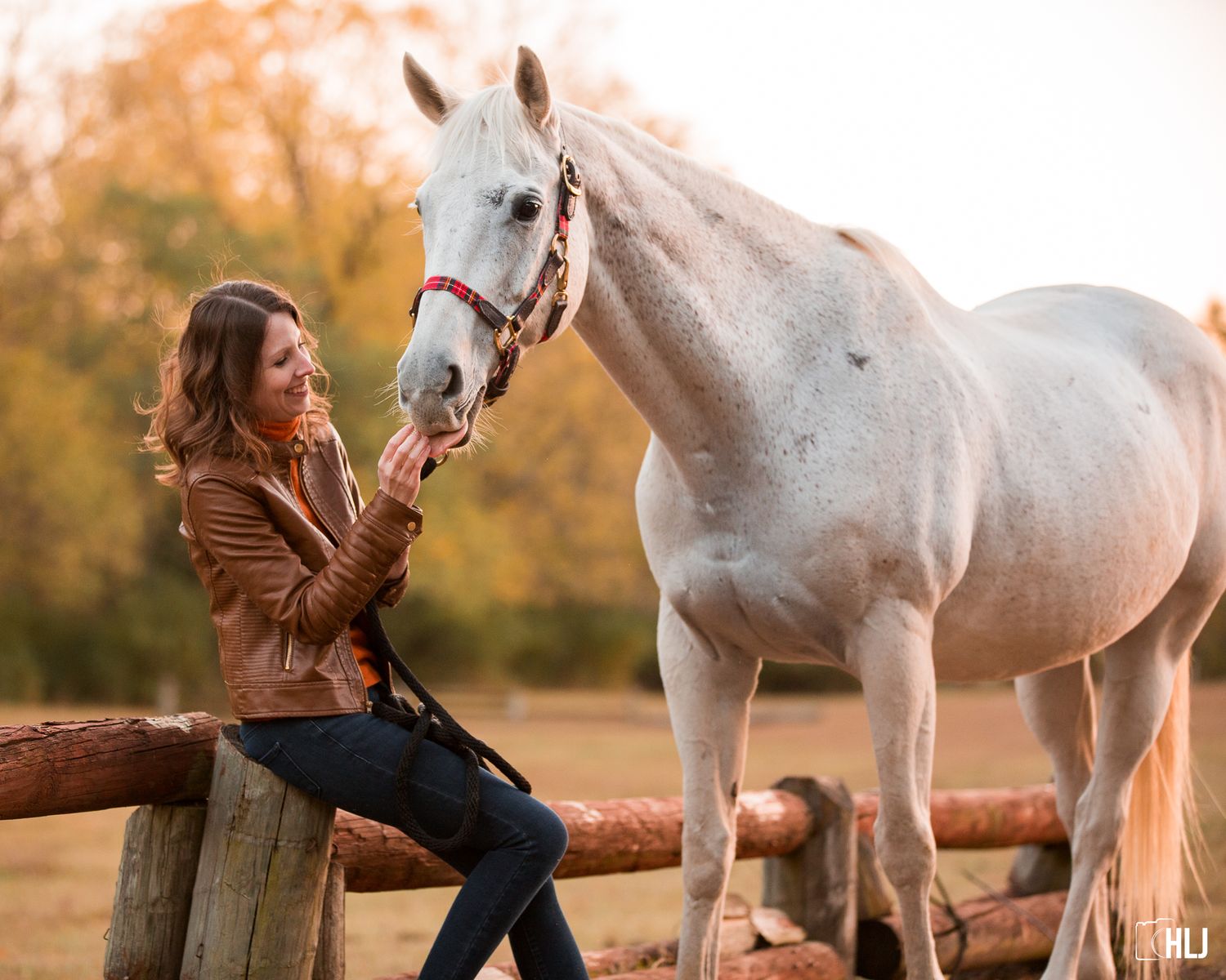 A beautiful white horse and rider share a tender moment while resting on a wooden fence at sunset.